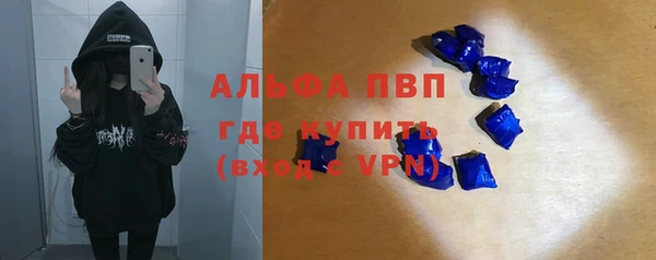 мдпв Рославль