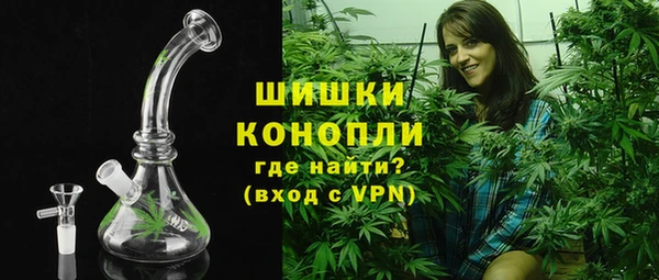 PSILOCYBIN Абдулино