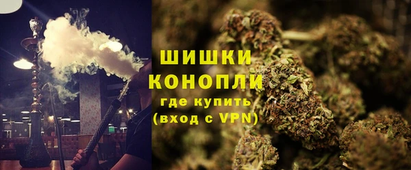 PSILOCYBIN Абдулино