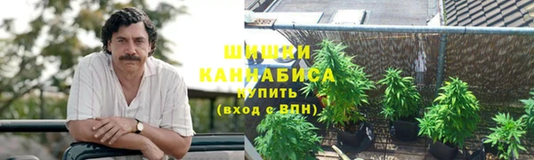 соль ск Абаза