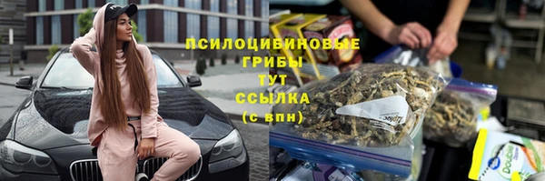 PSILOCYBIN Абдулино